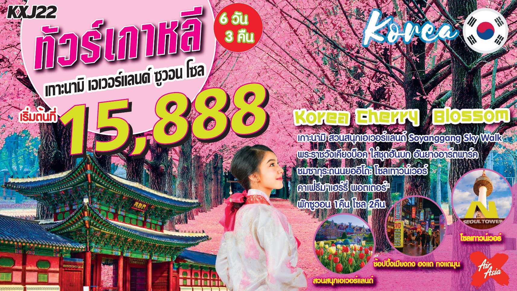 เกาหลี ซูวอน โซล Cherry Blossom