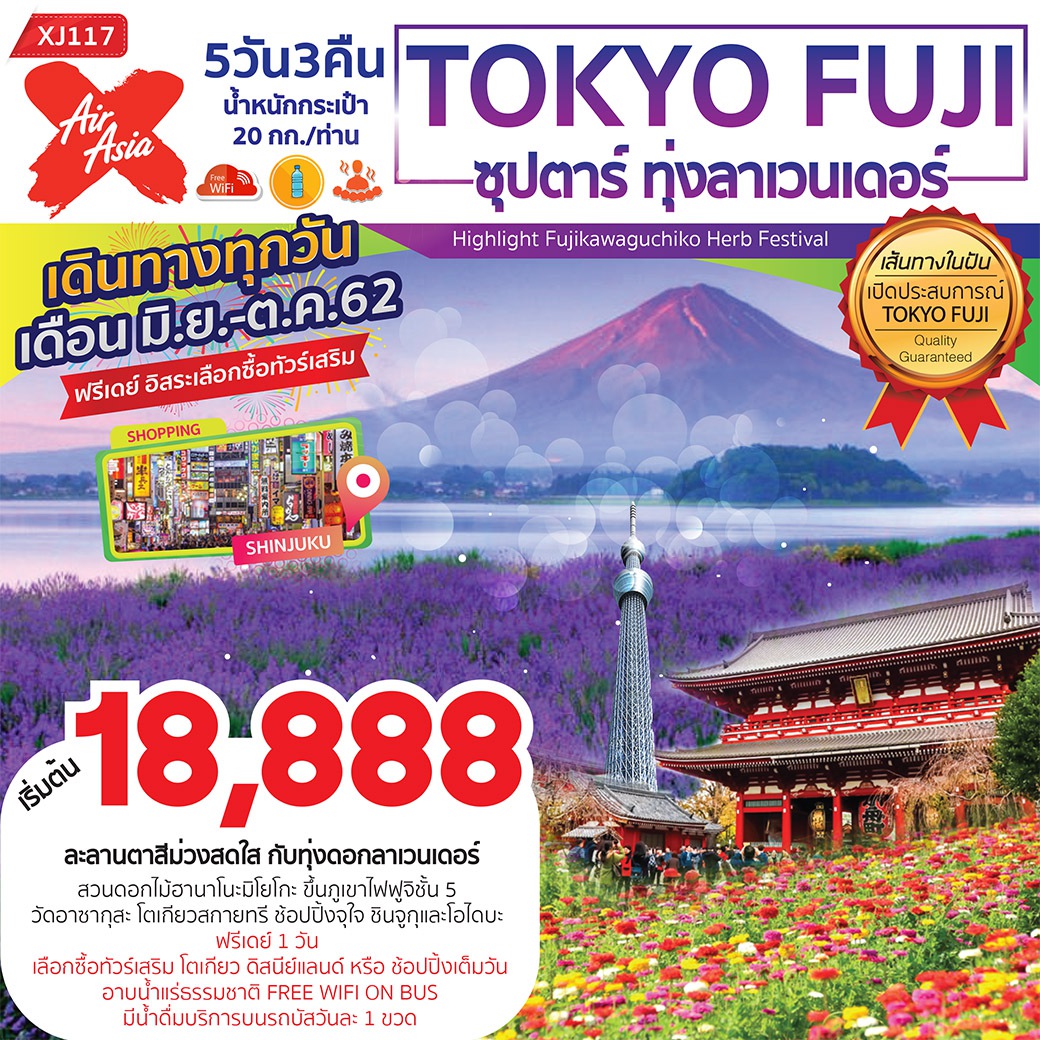 TOKYO FUJI ซุปตาร์ ทุ่งลาเวนเดอร์