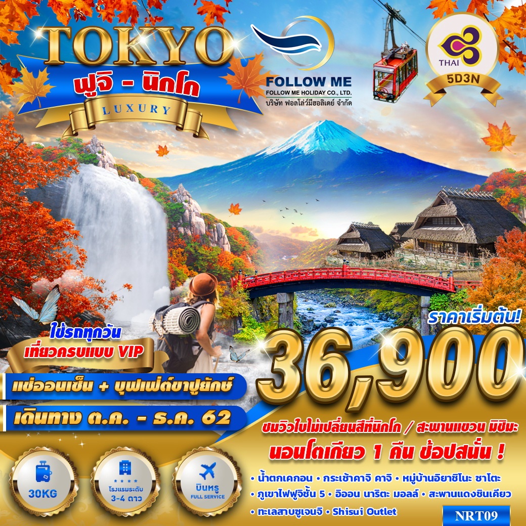 NRT09 TG TOKYO NIKKO LUXURY 5D3N (OCT-DEC)