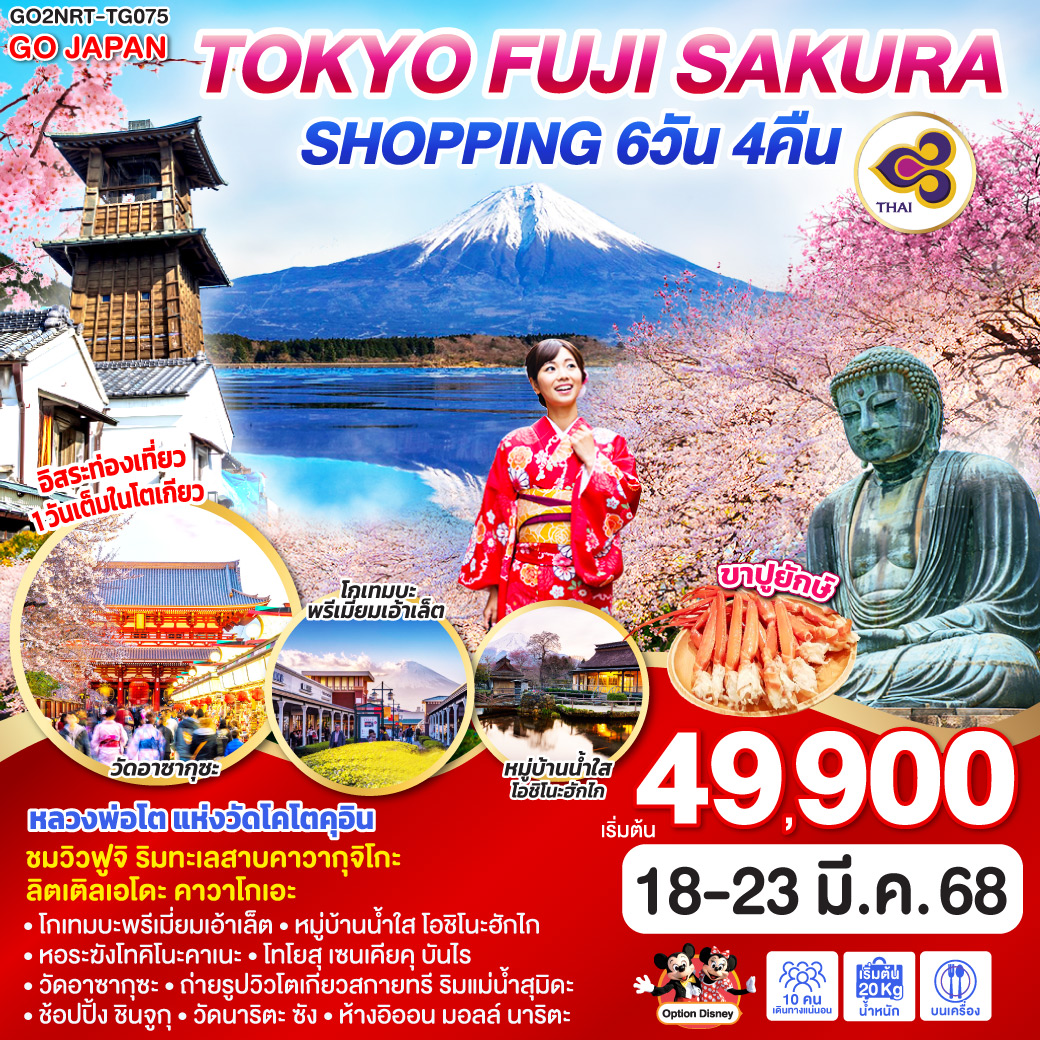 TOKYO FUJI SAKURA SHOPPING 6 DAYS 4 NIGHTS