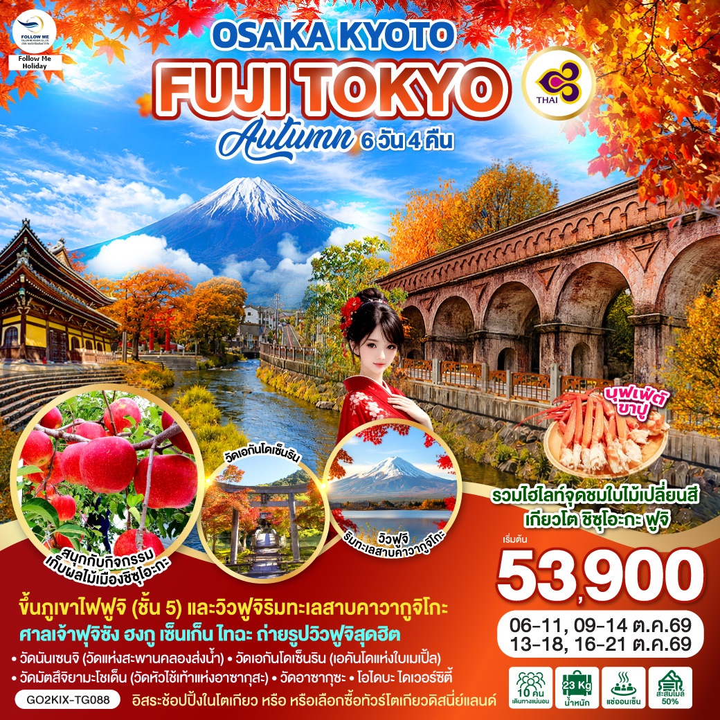 OSAKA KYOTO FUJI TOKYO AUTUMN FRUIT PARK 6D 4N โดยสายการบินไทย